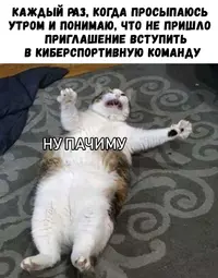 K7ffzzdmpZo.webp