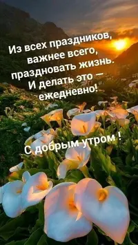 888bb4187a9b8a585965ac87aac797cd.webp