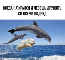 IMG-076d3ef199213c13661777b51486f042-V.webp