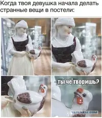 15494861.webp