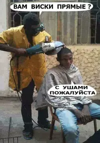 15498895.webp