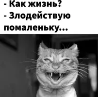 IMG-a7786d100a4c43c297877b5ff6388d0d-V.webp