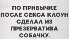 IMG-93d11540c4b0c879df5a8f865217c36a-V.webp