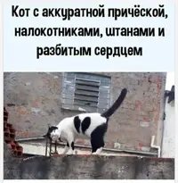20210429_185550.webp
