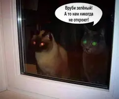 IMG-ab591e3051f8d19c746ccbdb26756604-V.webp