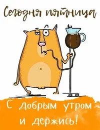 40.webp