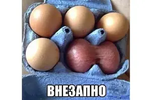 IMG-9fb502bc0d4c39b0d44c4d3589b6c948-V.webp
