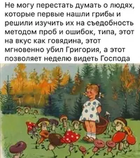 15500980.webp