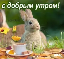 b18f6d5959bc306423e4f07abffd9aa5.webp