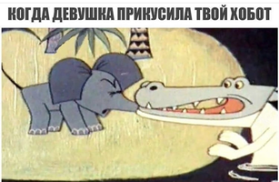 1619799342148.jpg.webp