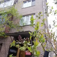 IMG_20210430_190337.webp