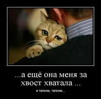 unnamed (2).webp