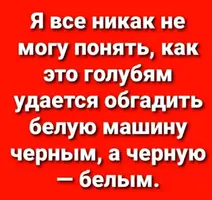 20210501_020933.webp
