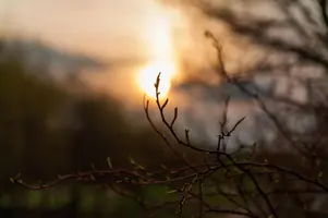 AVWee_i4V6w.webp