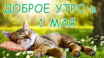 maxresdefault-2.webp