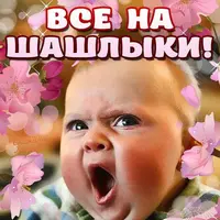 6f580e9fda41ec878ad1e58e322227c5.webp