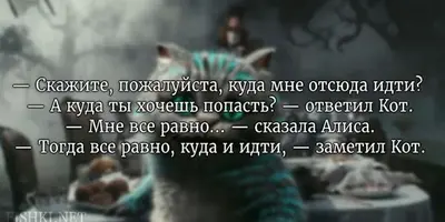 9SEZD7HfdcQ.webp