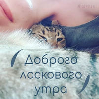 1619853149564.jpg.webp