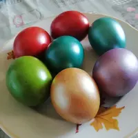 IMG_20210501_135124.webp