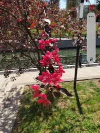 Screenshot_20210501-185531_Gallery.webp