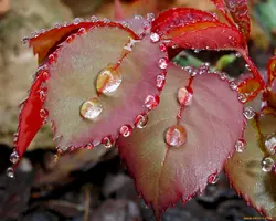 1280x1024_45799_[www.ArtFile.ru].webp