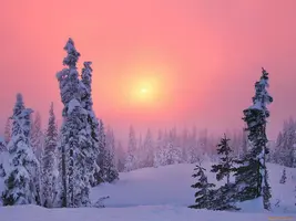 1600x1200_45693_[www.ArtFile.ru].webp