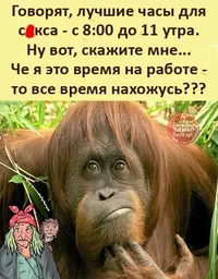 LJtRj8lrYWU.webp