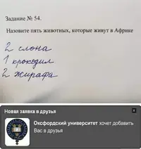 1606247724132724588.webp