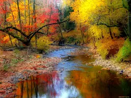 1600x1200_288256_[www.ArtFile.ru].webp