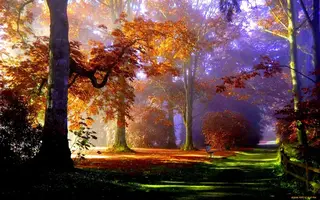 1680x1050_665690_[www.ArtFile.ru].webp