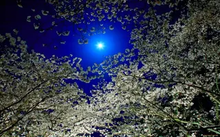 1920x1200_620261_[www.ArtFile.ru].webp