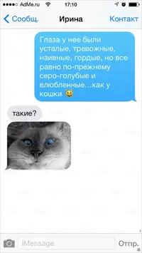990a02149396929b92f2bef9c7757ac0.webp