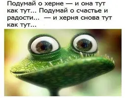 prorok302_20210429_4.webp