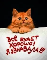 2810667026.webp