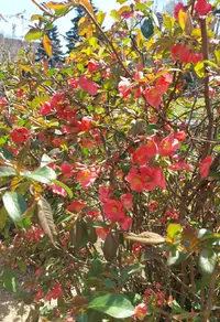 20210501_162844.webp