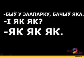 Баян-песочница-2614595.webp