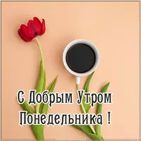 dobroe-utro-ponedelnik-kartinka.webp