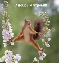 IMG_20210503_071605.webp