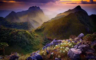 1920x1200_698857_[www.ArtFile.ru].webp