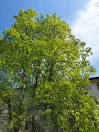 20210501_164225.webp