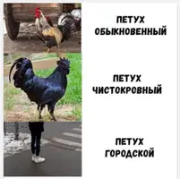 20210503_123734.webp