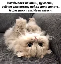 8eaa04d4bc7f7e865056ca8f8926591b.webp