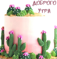 IMG_20210504_073221.webp
