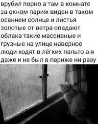 IMG_20210504_235328.webp