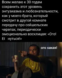 IMG_20210504_235340.webp
