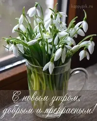 17387a3e4083d364b5003f9a8bf3a85e.webp