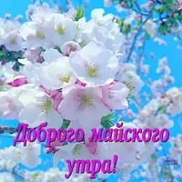 IMG-20210505-WA0002.webp