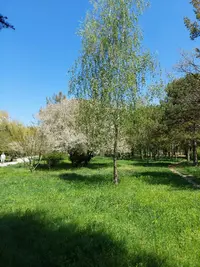 20210501_155720.webp