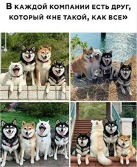 20210505_170033.webp
