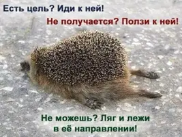 40-179.webp